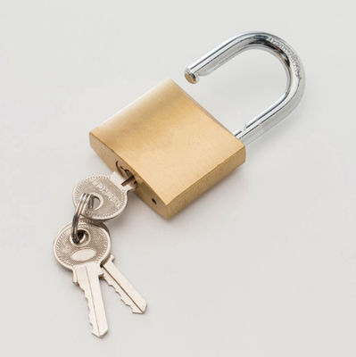 Thick High Security Padlock Durable Brass Pad Locks High Precision