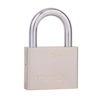 Metal High Security Padlock 40mm 50mm 60mm 70mm Iron Pad Lock
